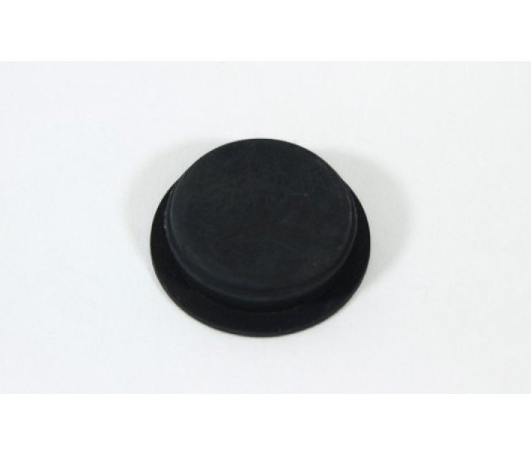 6NT1-060003 DUST CAP, SMALL