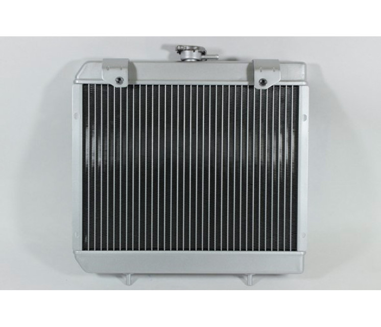 9DS#-181100-6001 RADIATOR