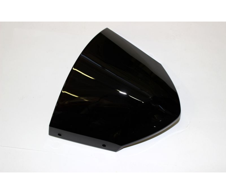 A000-040201 WINDSHIELD