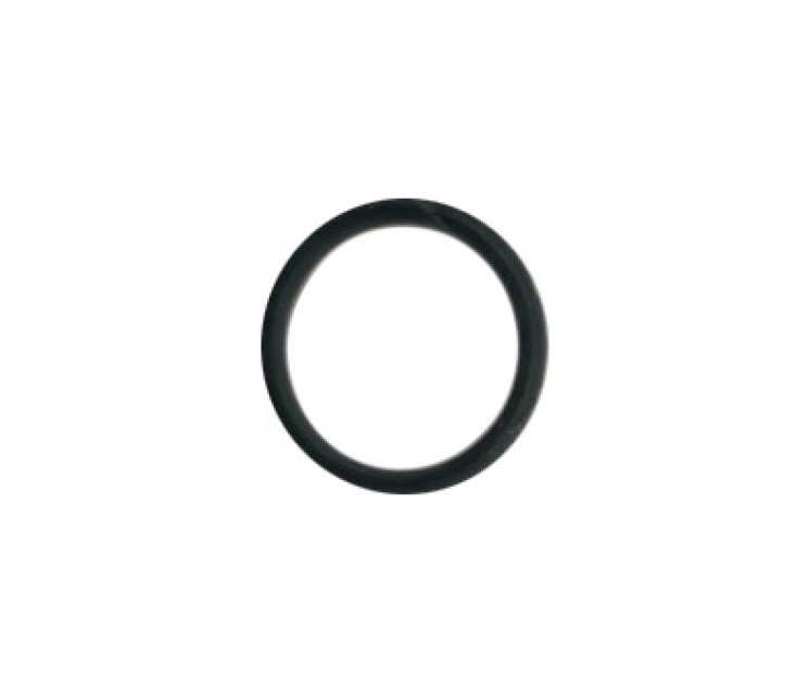 C0770010010 O-RING D10X1
