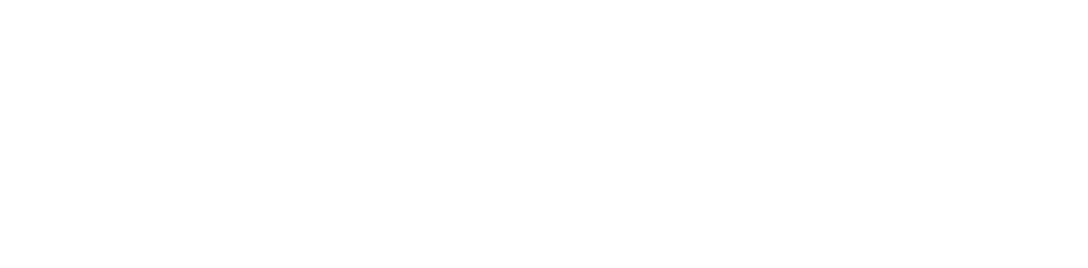 MotoFox